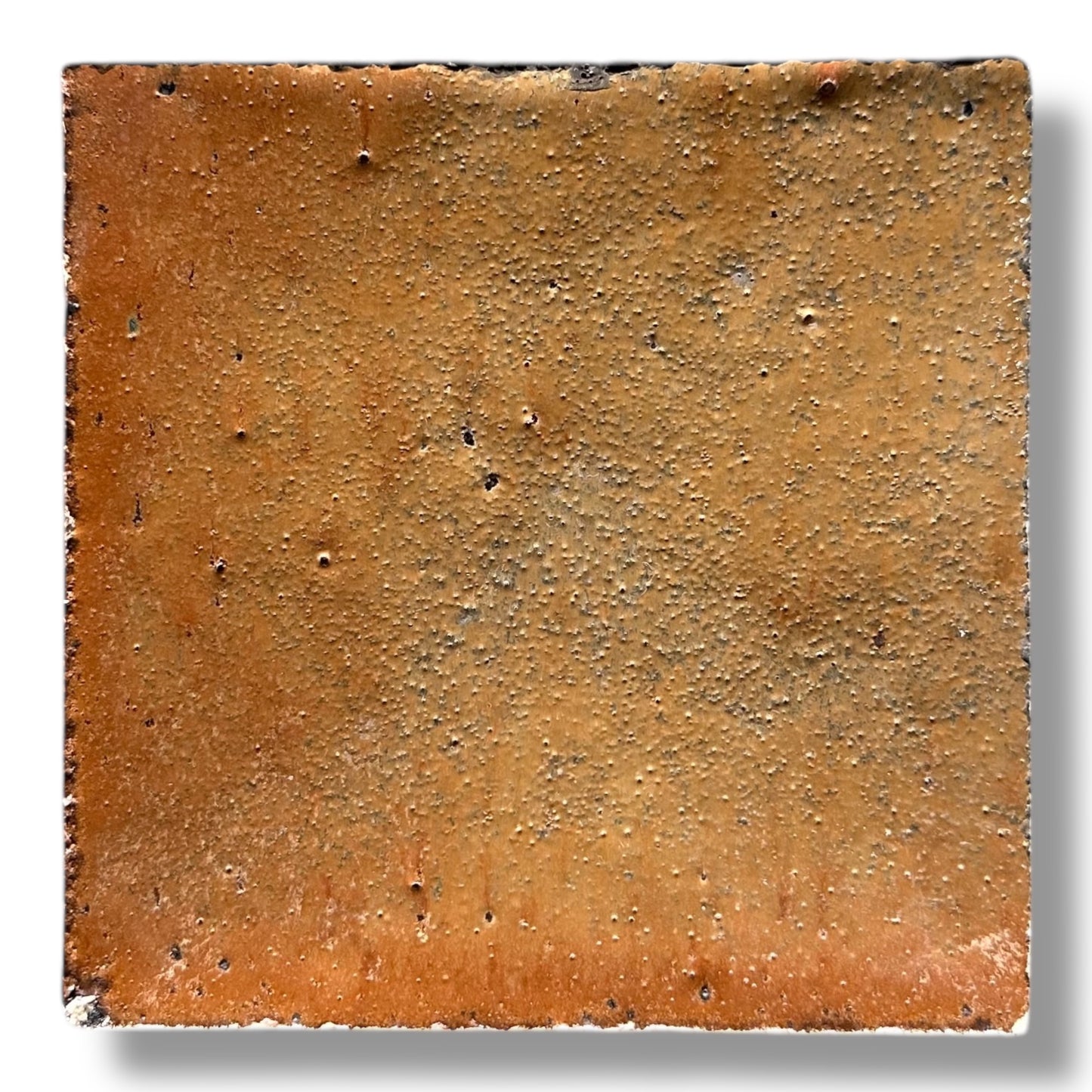 Classic 10x10 Zellige